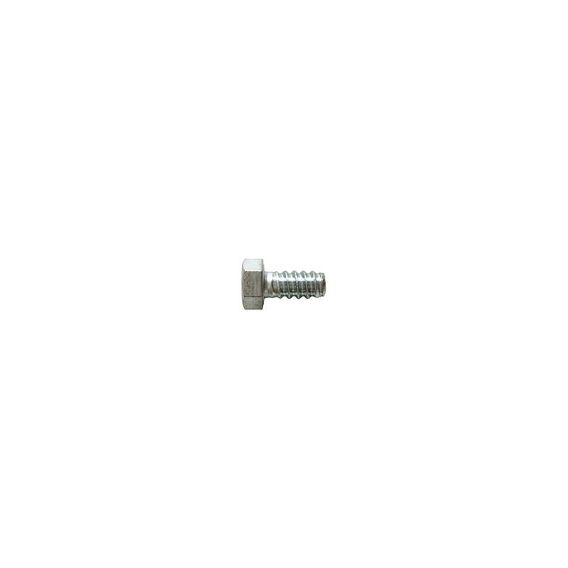 THEF  5 x 10 screw   5 x 10