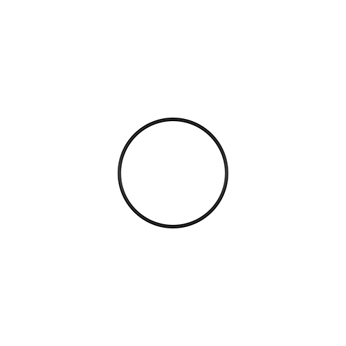 30 x 1 O-ring  30 x 1