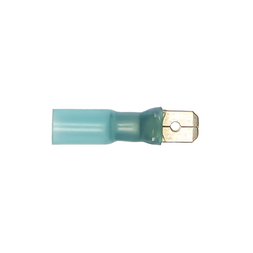 Cosse plate  mâle bleu 6,3 mm thermorétractable