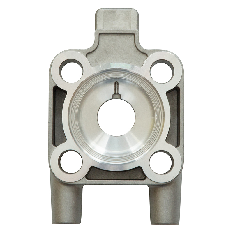 Cylinder head for EUROSPRAY PULSE diaphragm pump  à membrane EUROSPRAY PULSE