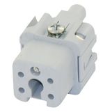 Female insert 4p + G  4 P + T cardeuse