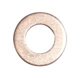 Copper seal for JETPRO 80 pump nose  nez pompe JETPRO 80