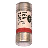 16 A fuse.  A.