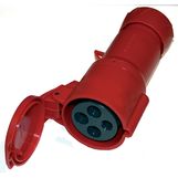 Female D electric socket 3P + T 32A  D femelle 3P + T 32A